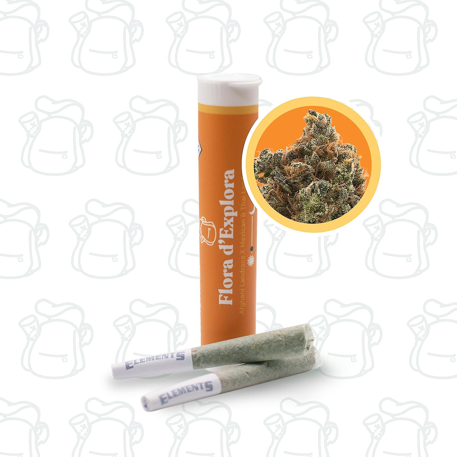 Flora d’Explora - 2pk