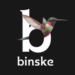Binske logo