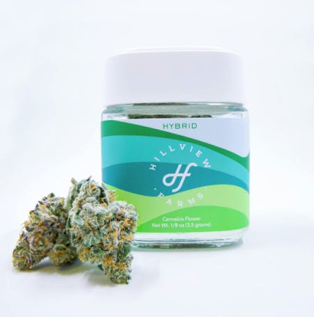 GMO Rootbeer | Hillview Farms | 3.5g - 3.5g | Flower