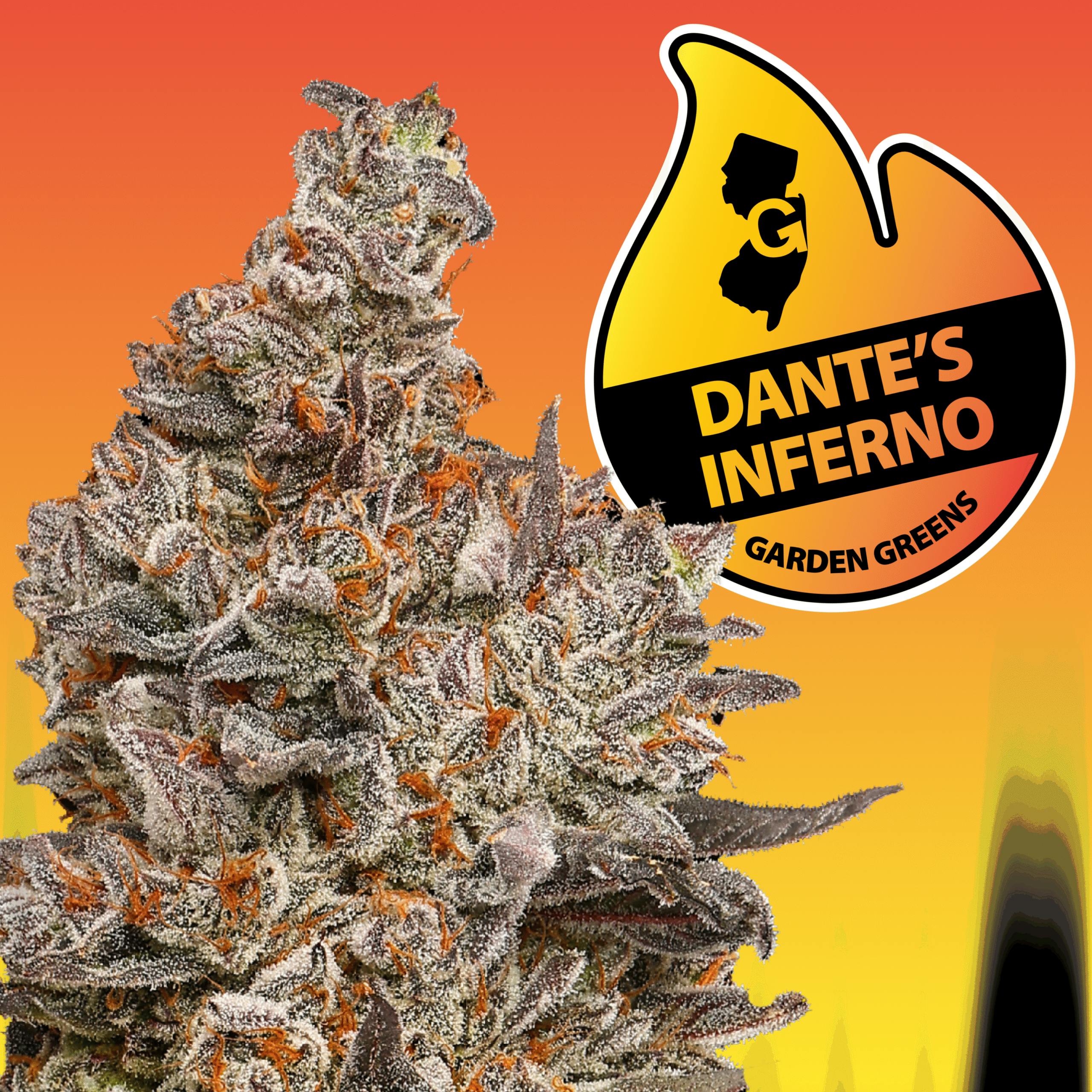 Dante's Inferno | Garden Greenz | 3.5g - 3.5g | Flower | Garden