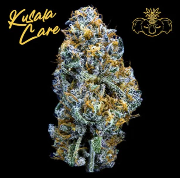 Welcome to Nirvana Saddlebrook | The Best Cannabis Dispensary in