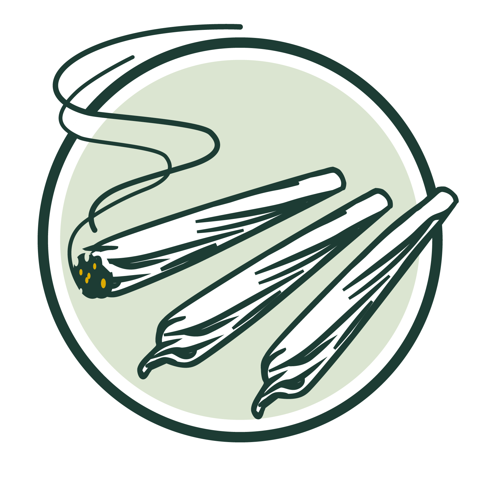 Clade9 Brand Cannabis Products for Sale | Boone Town Provisions (Rec)