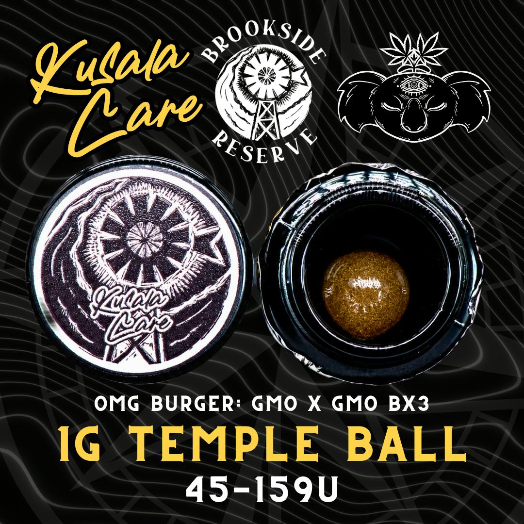 Mellowz - 0.5g Live Rosin Disposable - 0.5g | Vaporizers