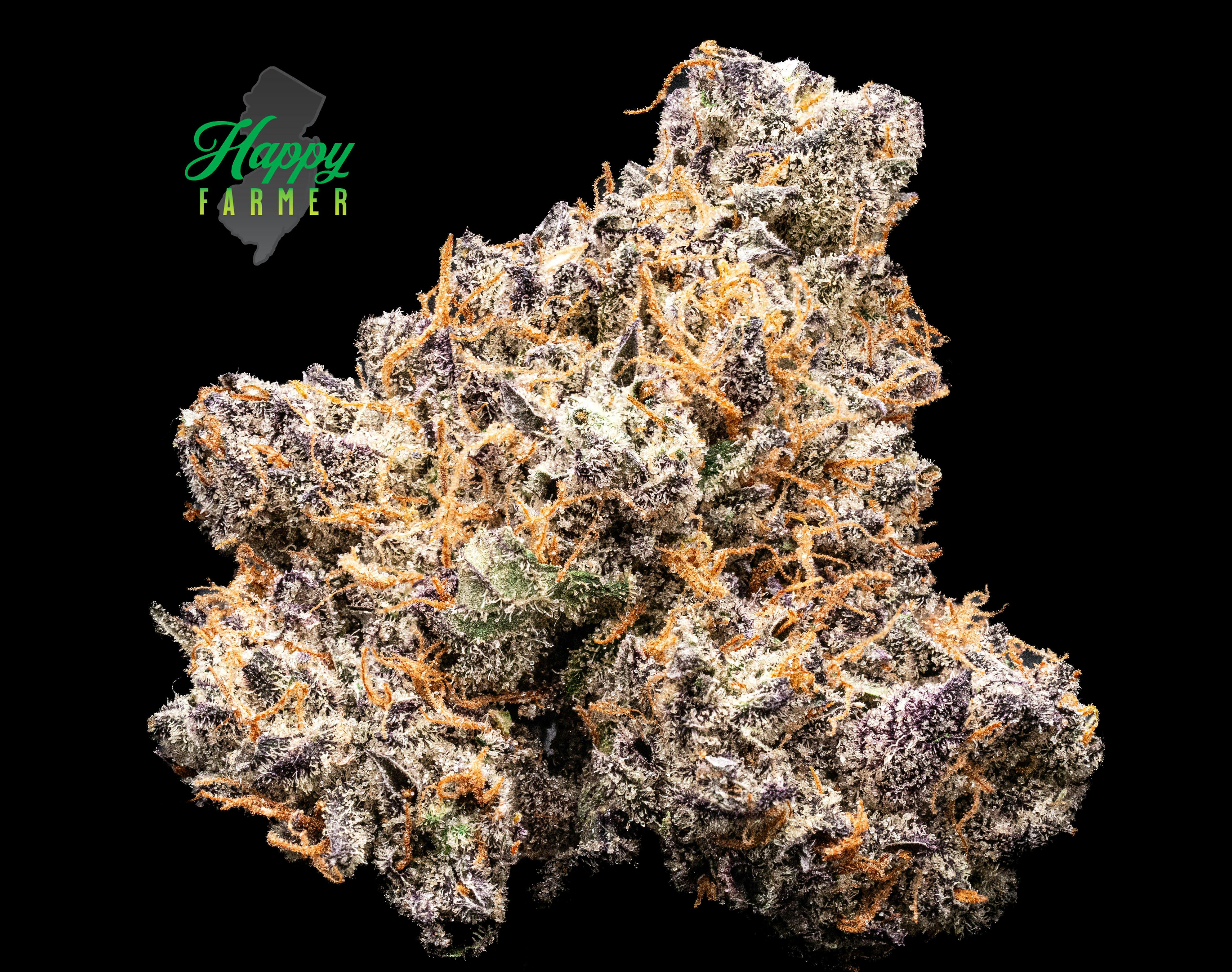 Candied Garlic - 7g Flower - 7g | Flower | Happy Farmer