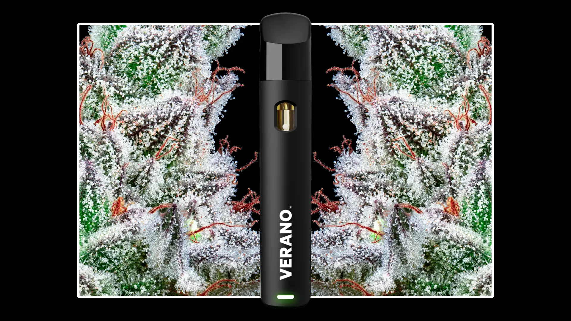 Ghost Milk - 1g Live Resin Disposable - 1g | Vaporizers | Verano Reserve | SoulFlora (Rec) West Milford, NJ Ghost Milk - 1g Live Resin Disposable - 1g | Vaporizers | Verano Reserve | SoulFlora (Rec) West Milford, NJ