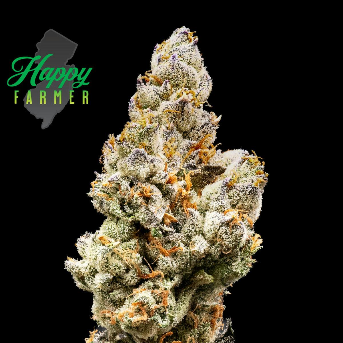 sweet‼️ The Sweeties #7 - 3.5g Flower - 3.5g | Flower | 710 Labs