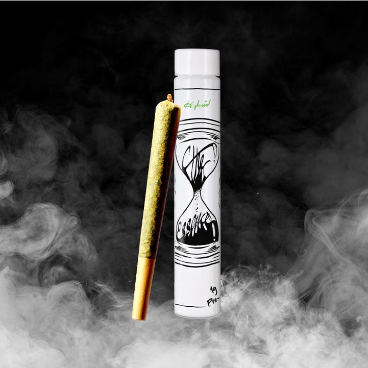 Casey Jones - 1g Pre Roll - 1g | Pre Rolls | (the) Essence