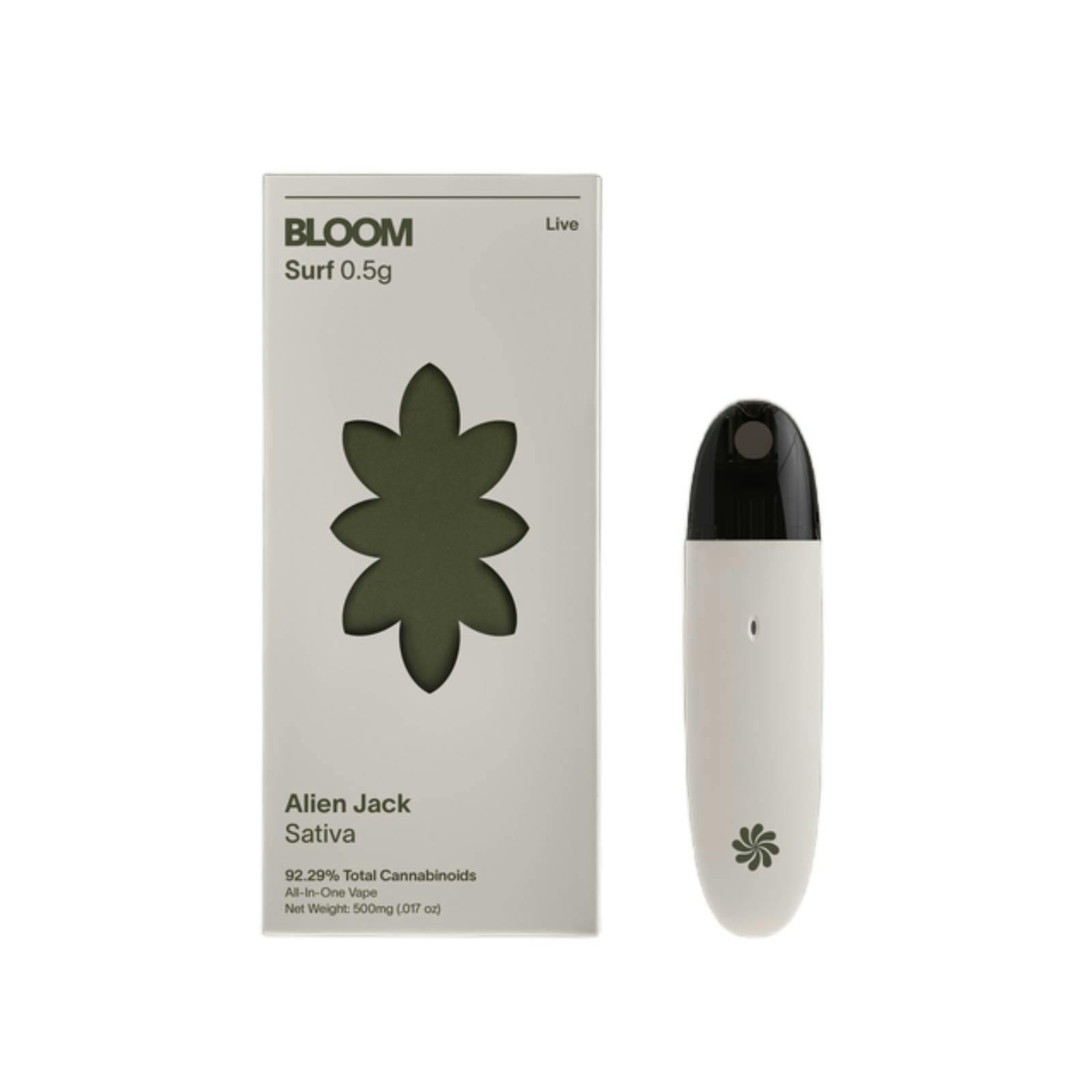 邦楽 Gum-9 / Bloom Ur Days Gum-9「スイセンノウ」Live Video 【Bloom Ur Days Tour 2025