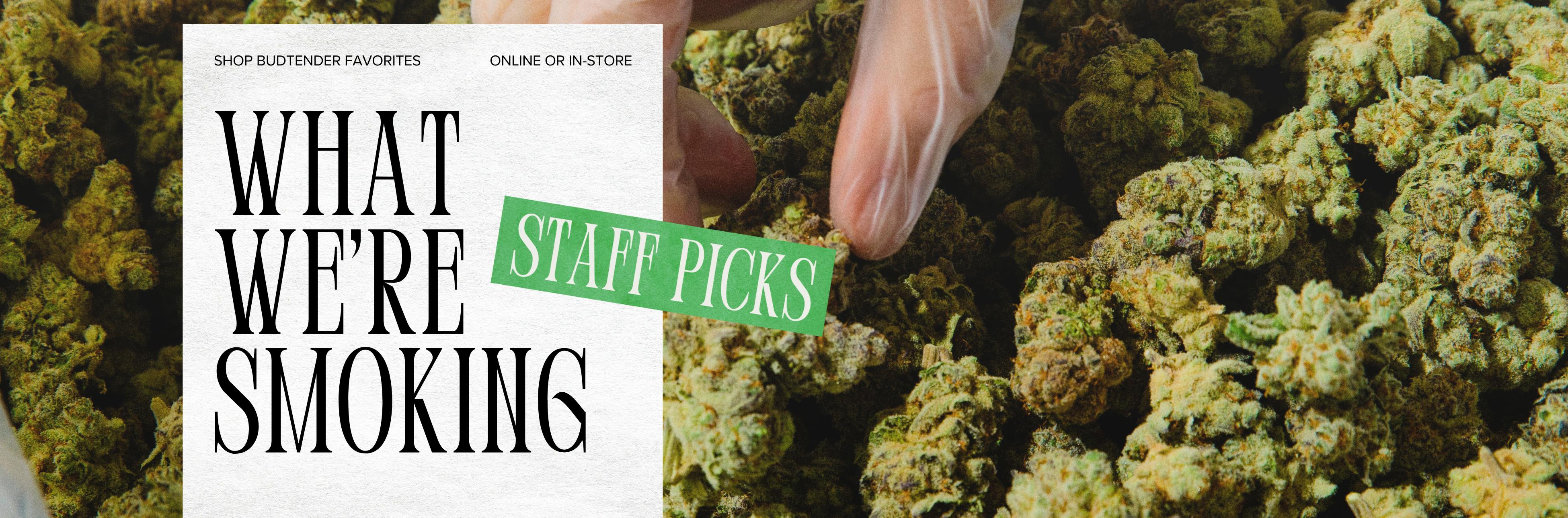 STAFF PICKS