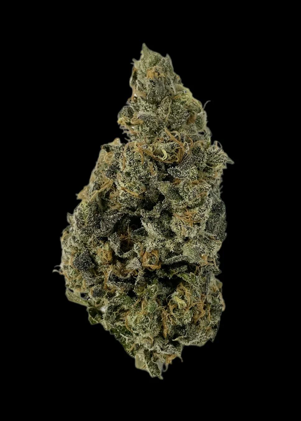 6 Point Cannabis | Arancio Loco | Flower | 3.5g