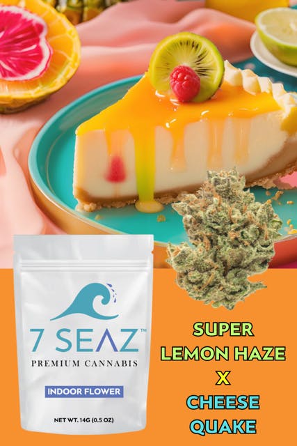 ⭕️新品⭕️ FLIP & DRAW 【2LP】 7SEEDS & GAD Amazon.com: Amazon Kindle Paperwhite 16GB (newest model