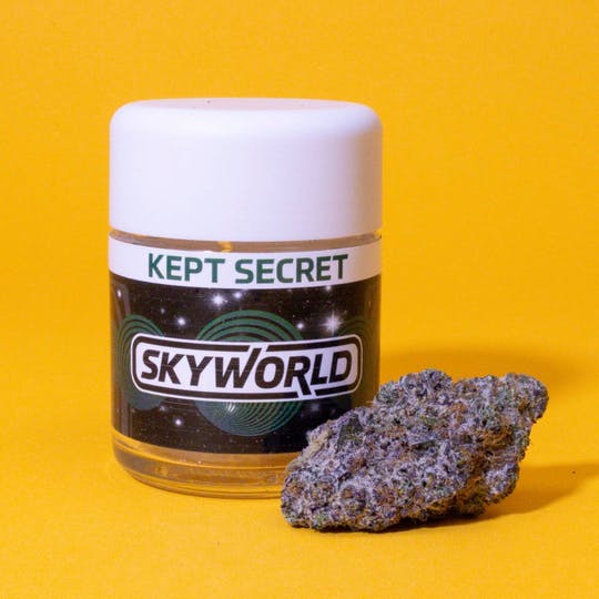 【FOREVER EXPERIENCE VIA RESEARCH】　 シーガル FOREVER EXPERIENCE VIA RESEARCH】 シーガル