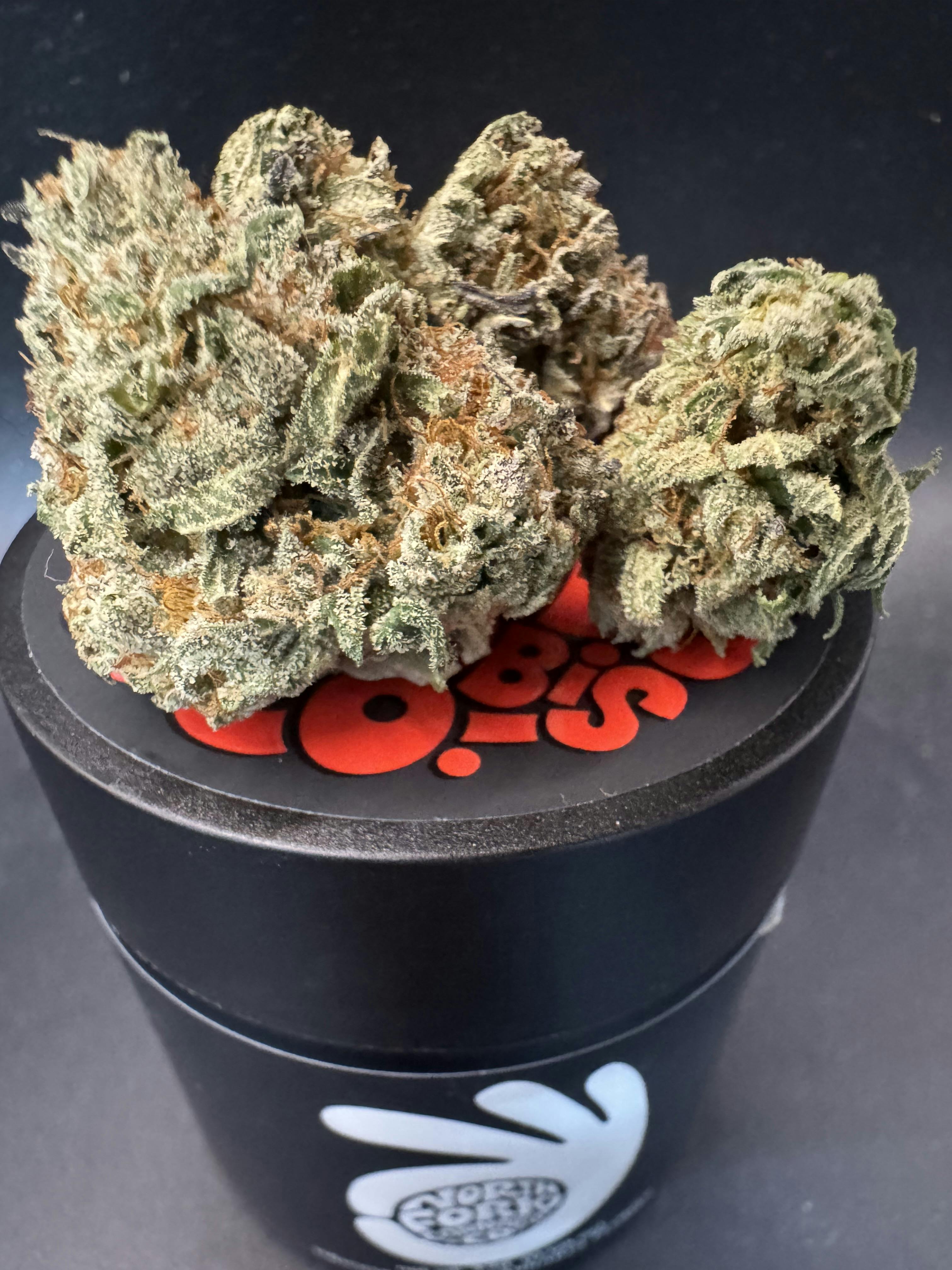 North Fork Cannabis Collective - Zello Cake (Indoor Living Soil