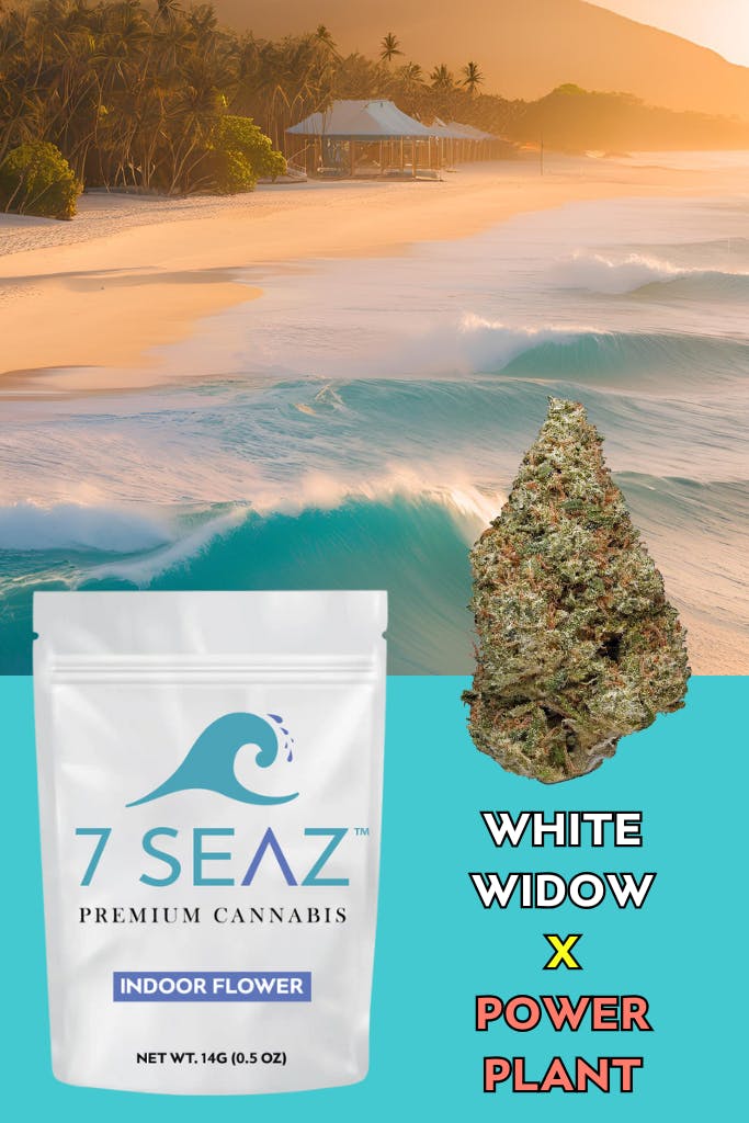 7Seaz - White WIdow x Power Plant (Indoor) - 14g - 14g by 7Seaz