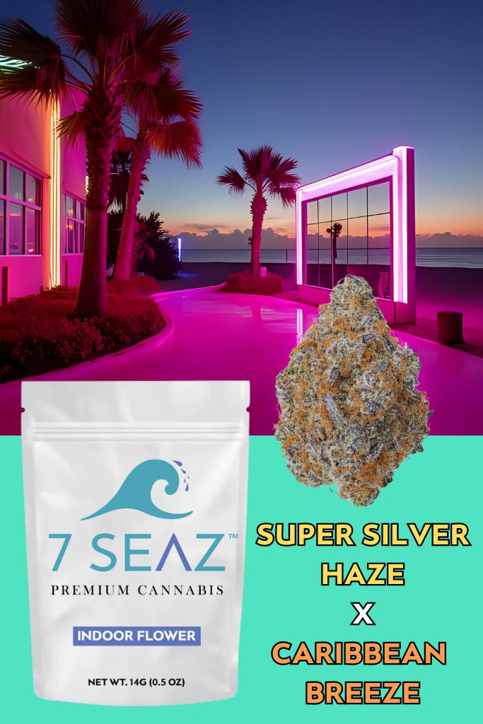 Shop and Buy the best 7seaz Cannabis online!
