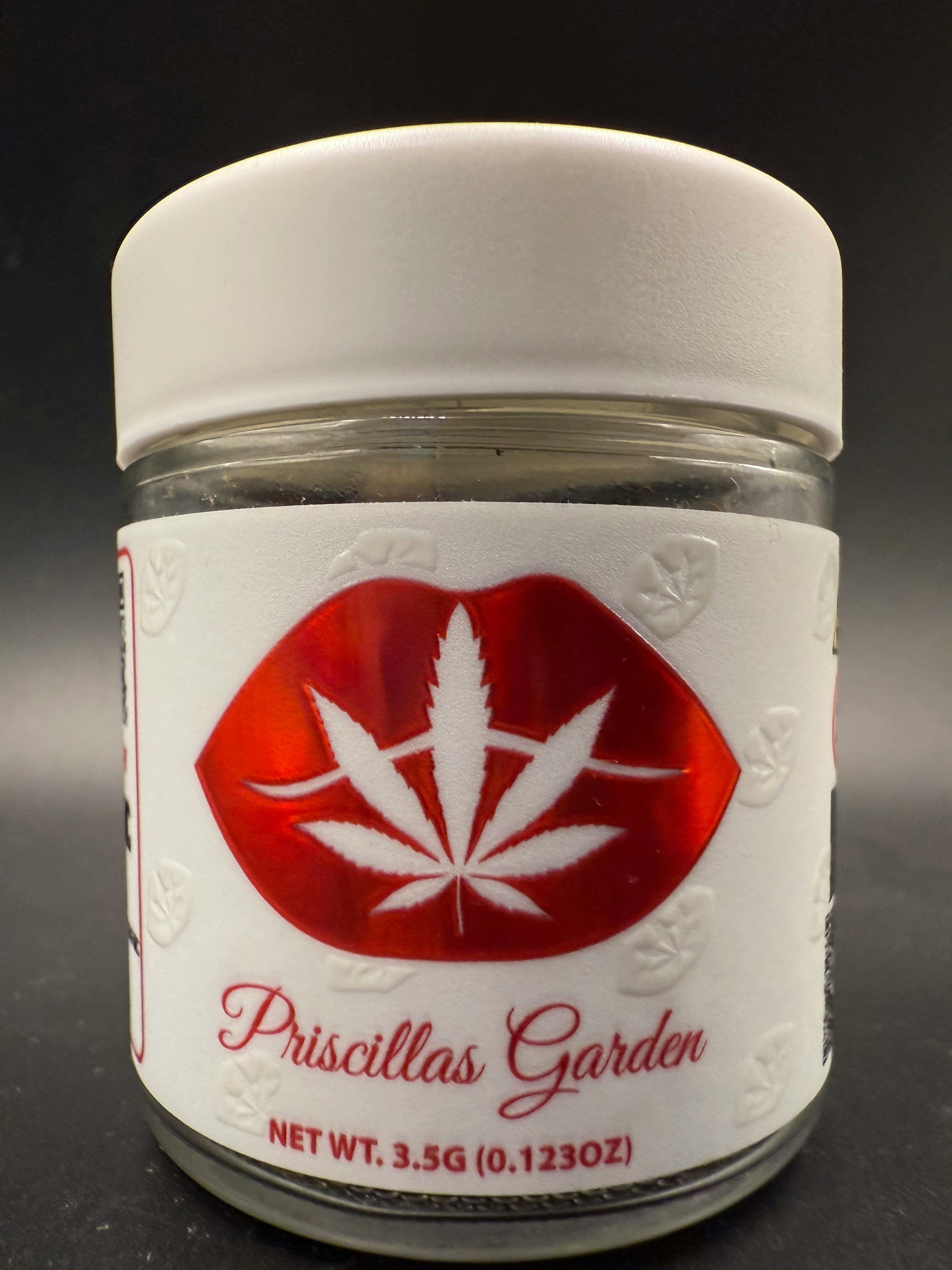 Priscilla's Garden - Lemon Cherry Zolato (Indoor) - 3.5g - 3.5g by