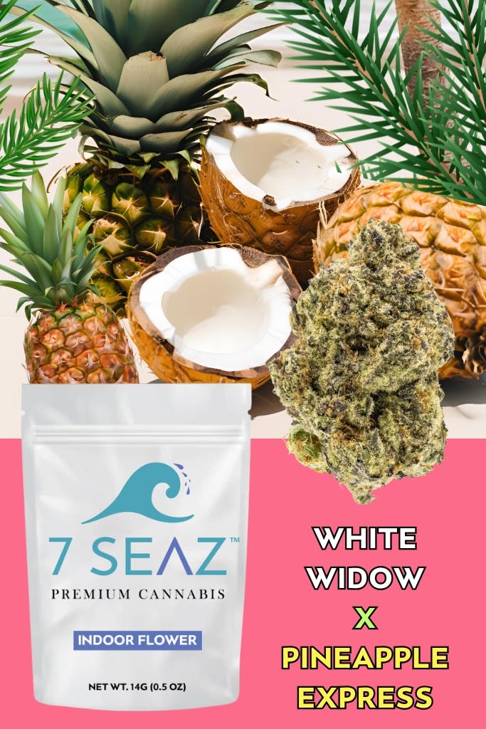 7Seaz - White WIdow x Pineapple Express (Indoor) - 14g - 14g by