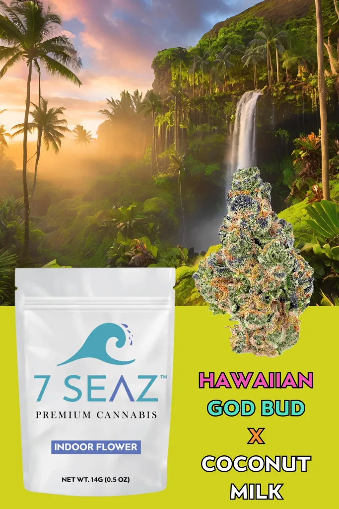 7Seaz - Hawaiian God Bud x Coconut Milk (Indoor) - 14g - 14g by 7Seaz | Buy Online White Plains NY 7Seaz - Hawaiian God Bud x Coconut Milk (Indoor) - 14g - 14g by 7Seaz | Buy Online White Plains NY