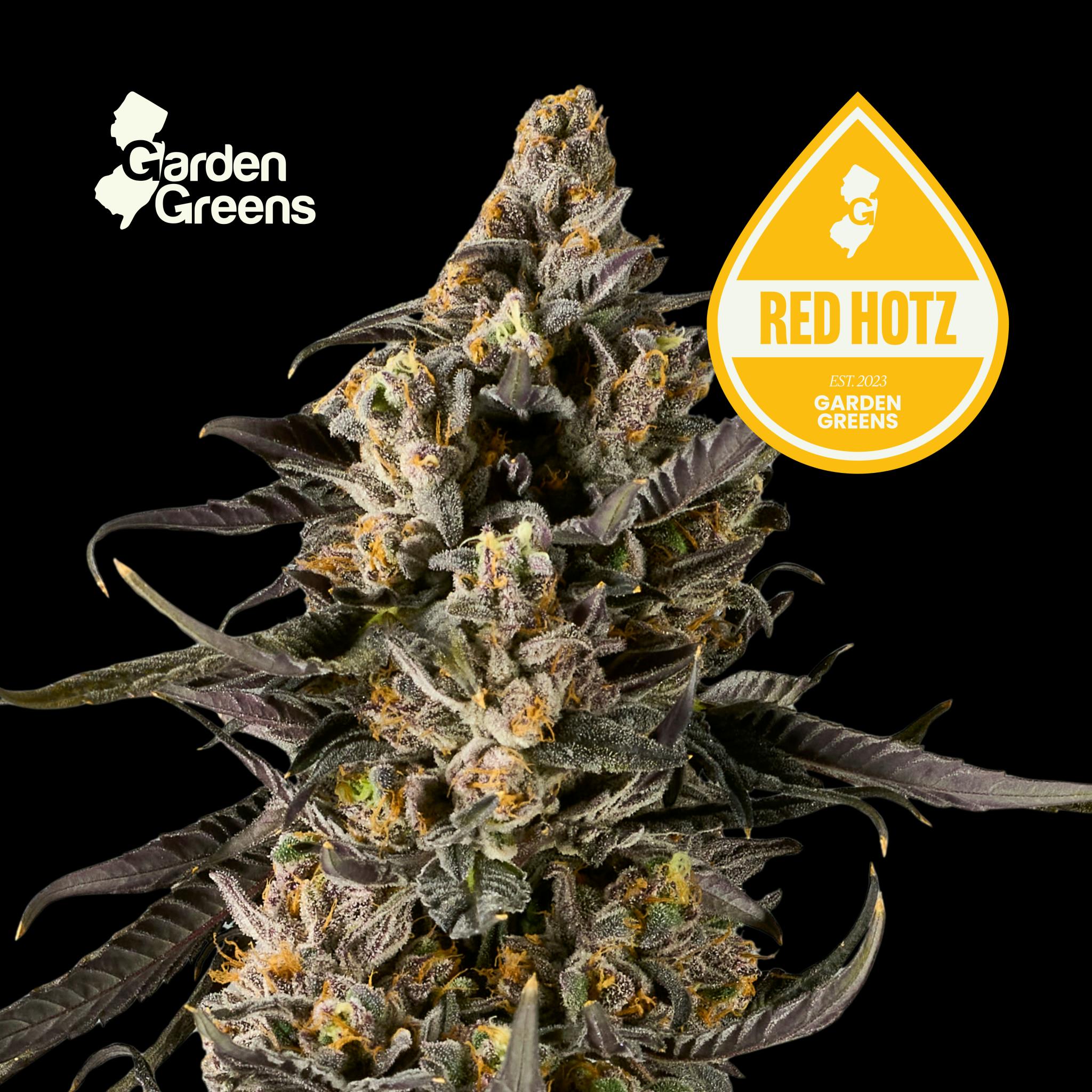 Red Hotz - 3.5g - 3.5g | Flower | GARDEN GREENS | Aurum Botanics