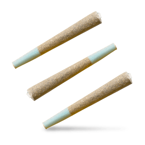 Pre Rolls icon
