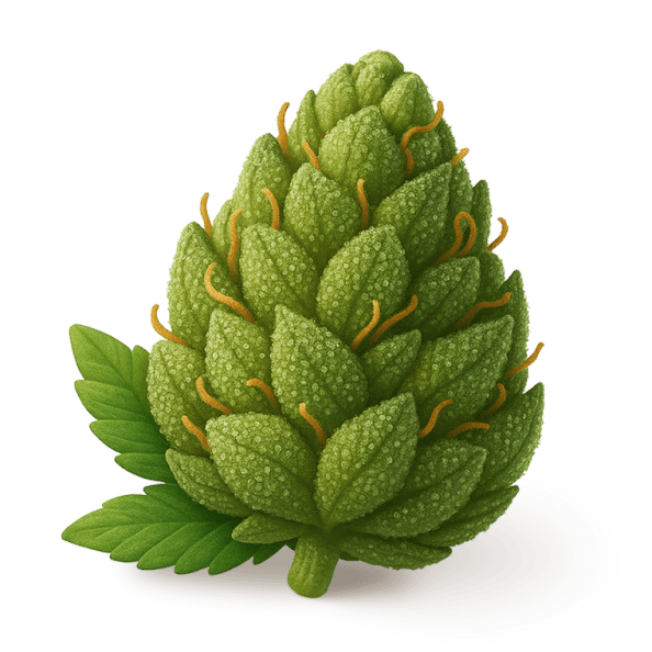 FLOWER icon