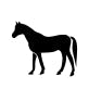 OSF icon