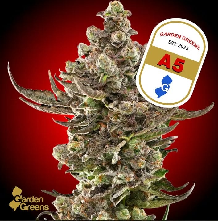 【レア】 ARARE - 今夜もWEED LIFE A5 - 3.5g | Flower | Garden Greens | Molly Ann Farms (Rec) | 265
