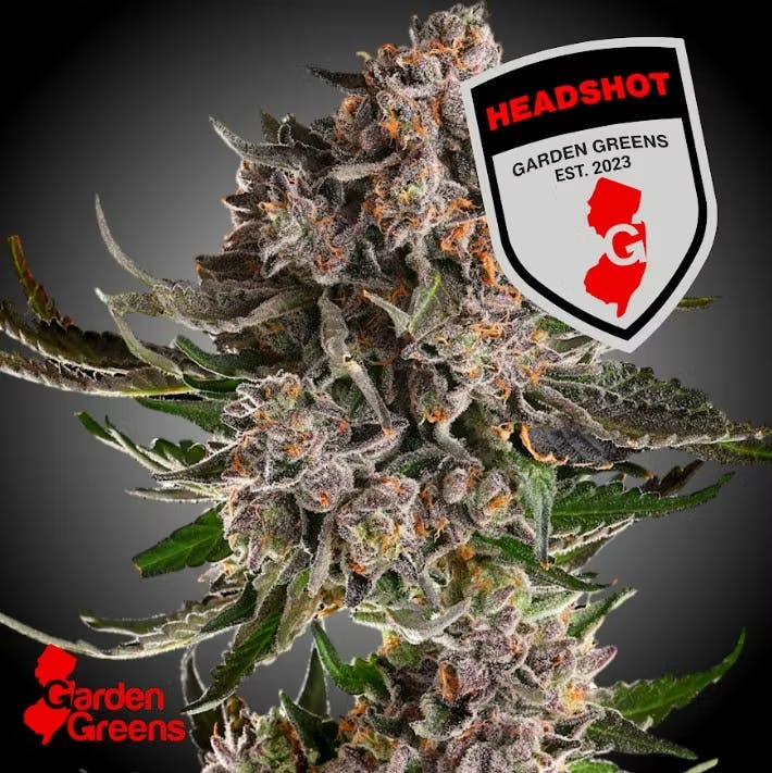 Headshot - 3.5g | Flower | Garden Greens | Molly Ann Farms (Rec