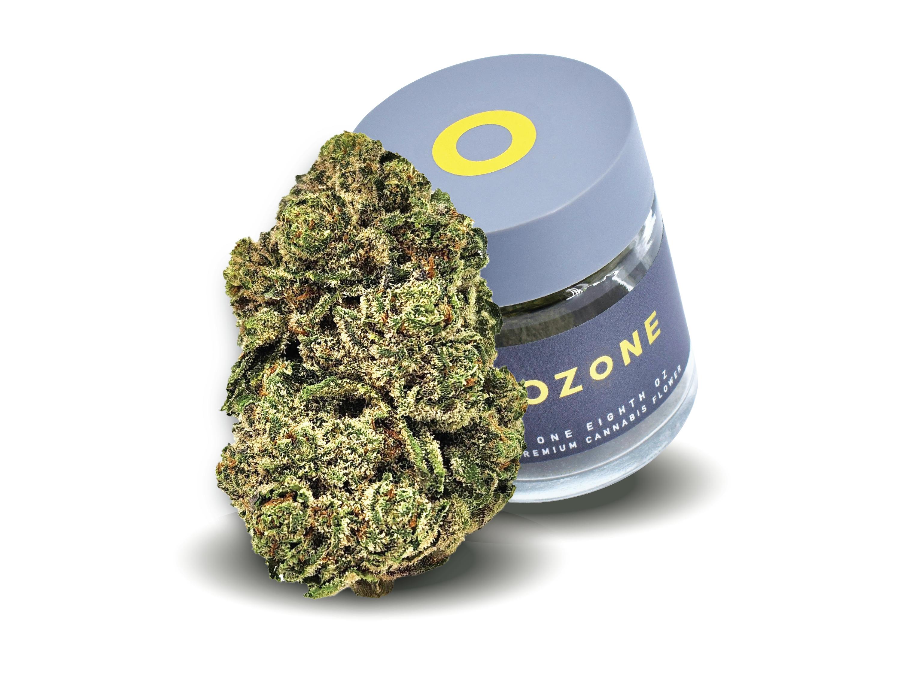 Shop medical Jokerz Candy 5 3.5g Flower by Ozone Chicago, IL