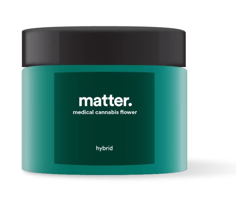 Shop medical Butterscotch Willy 3.5g Flower by Matter Collinsville