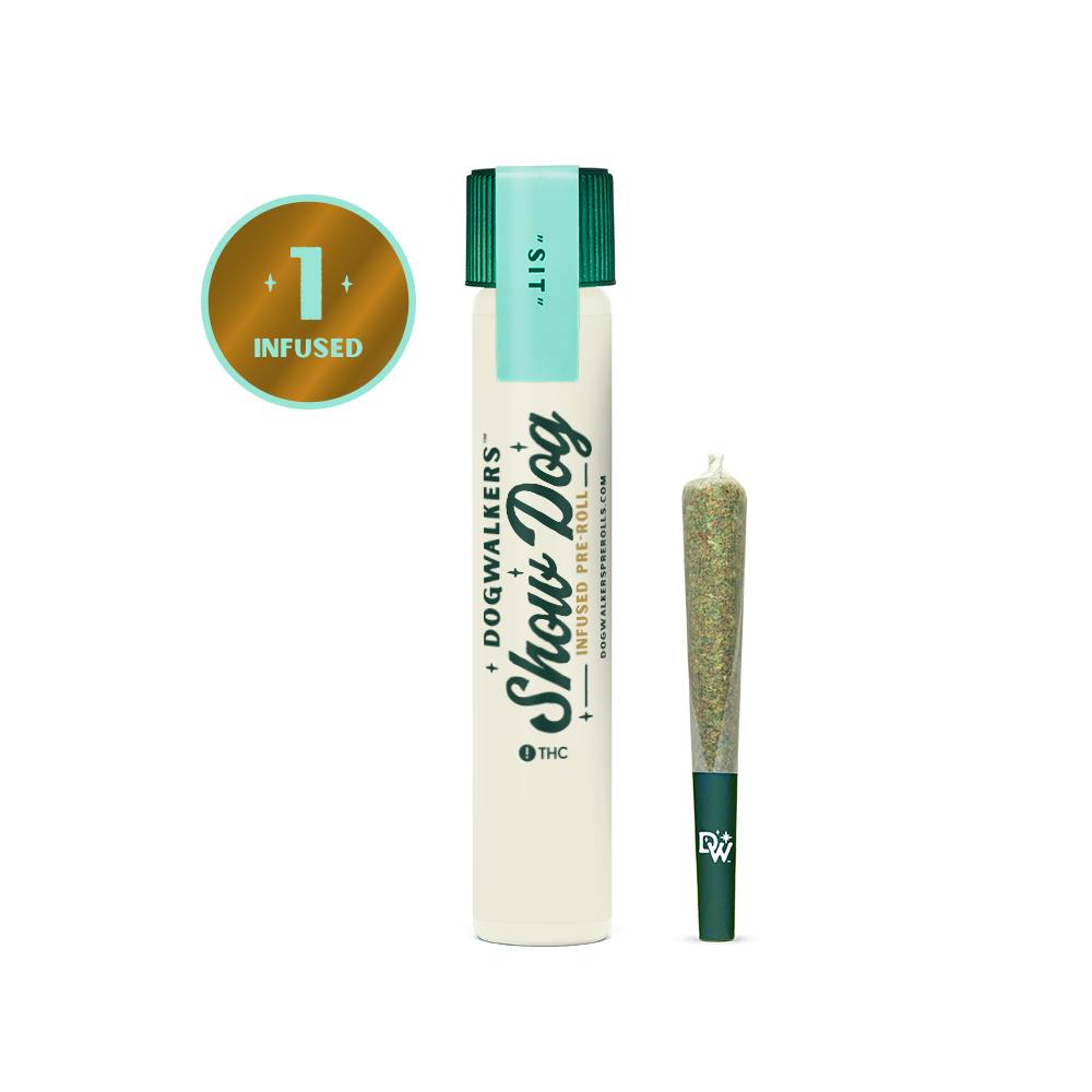 Dogwalkers - Bananaconda (Indoor) - Big Dog Infused - 1g - 1g by