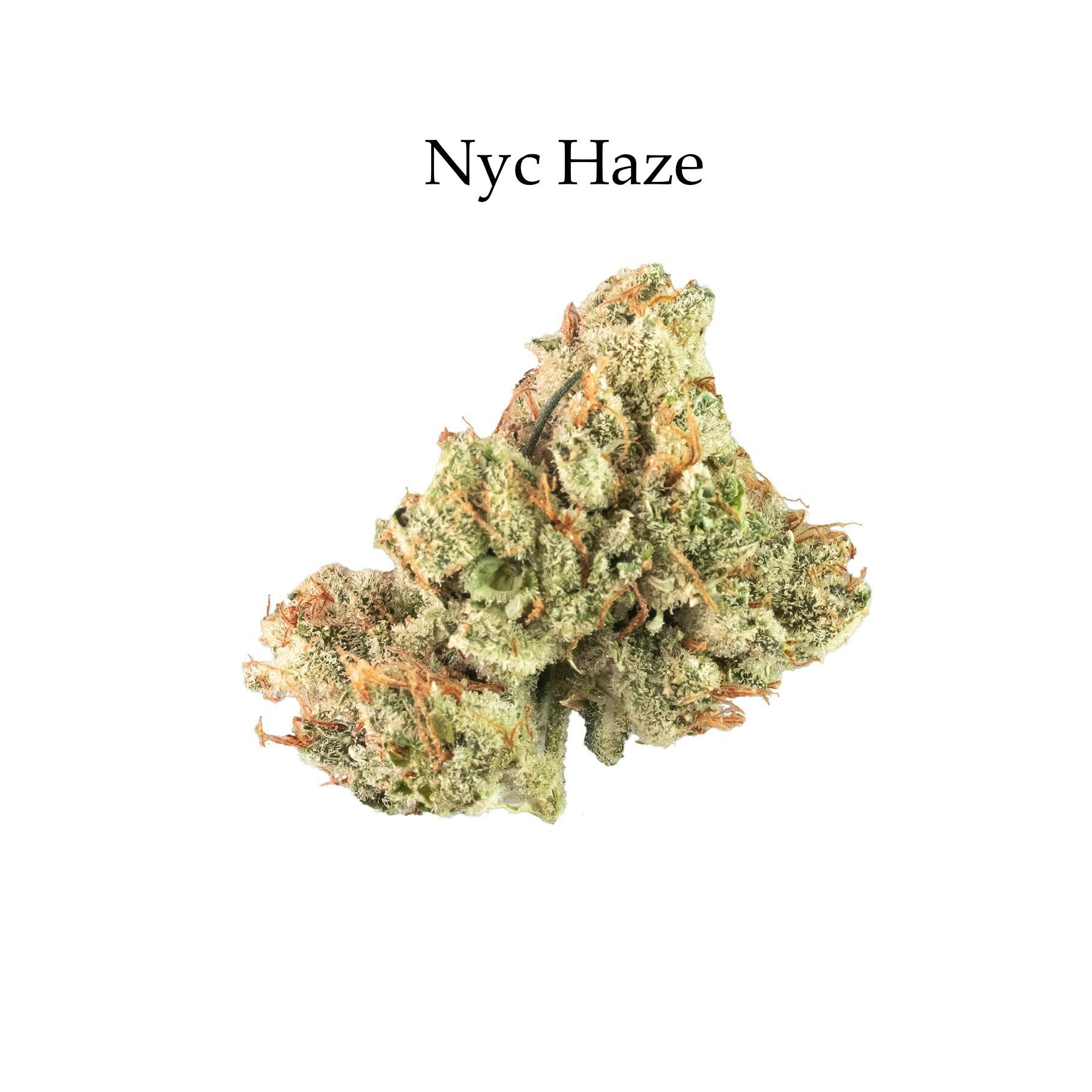 HAZE - HAZE US レアグルーヴ LATIN FUNK Fela's - NYC Haze (Indoor) - 3.5g - 3.5g by Felas (Micro) | Buy