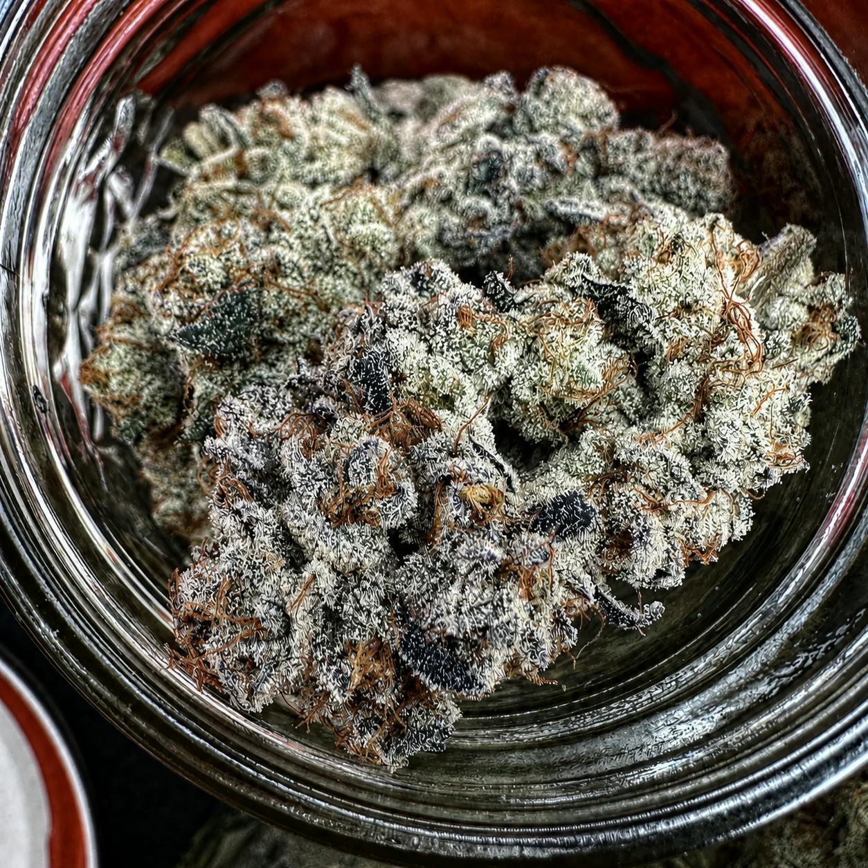 Mac Stomper Hybrid Flower | Budding Bliss — Spring Valley