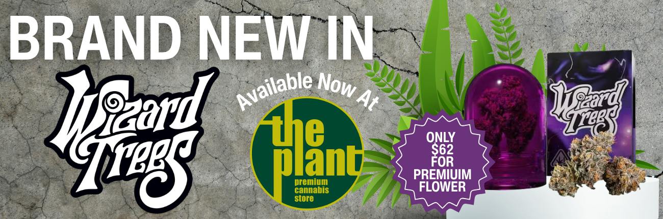 BRAND NEW!!! WIZARD TREES!