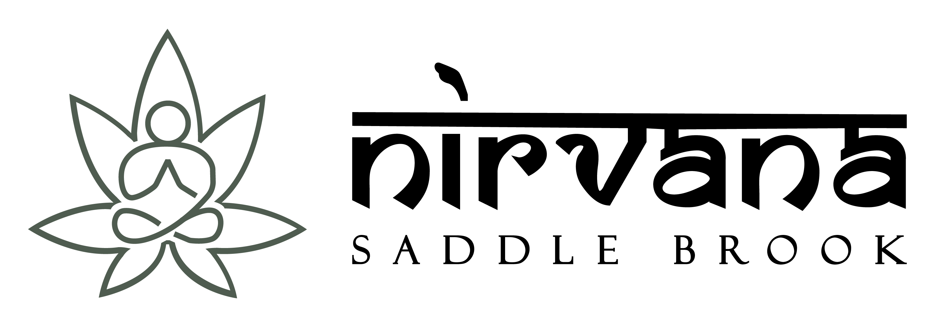 Nirvana  Dispensary Saddlebrook (Rec) logo