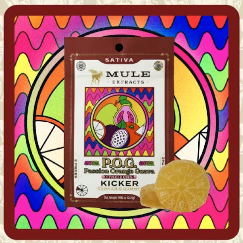 DREAMBERRY | 1:2 (THC/CBN) | MINI KICKERS | 10PK/10MG - 100mg