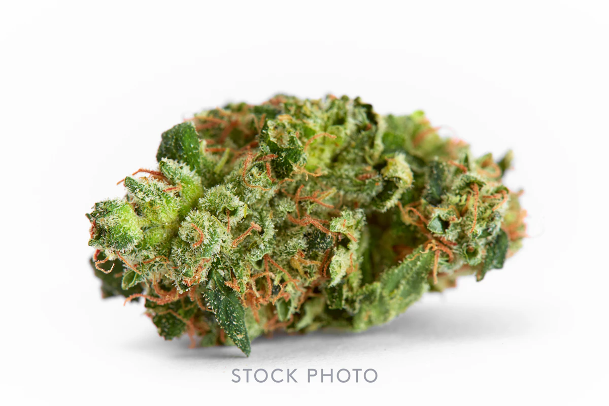 Dank | Cherry Burst | 1g