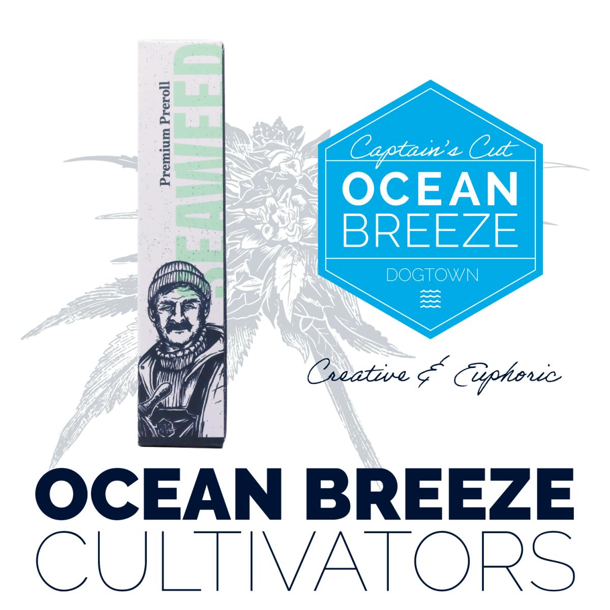 Shop PS5 Single 1g Pre Rolls by Ocean Breeze Cultivators New