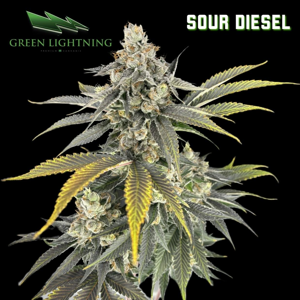 Green Lightning | Sour Diesel 3.5g - 3.5g | Green Lightning Flower