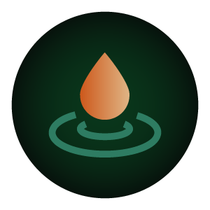 Concentrates icon