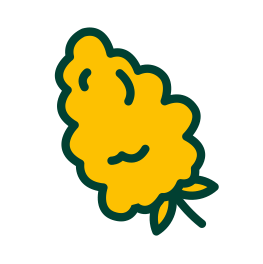 Flower icon