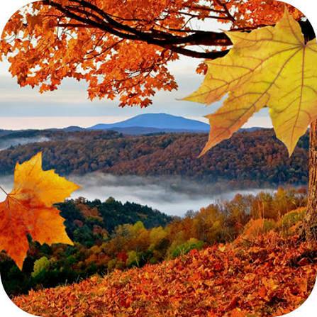 Fall Sale icon