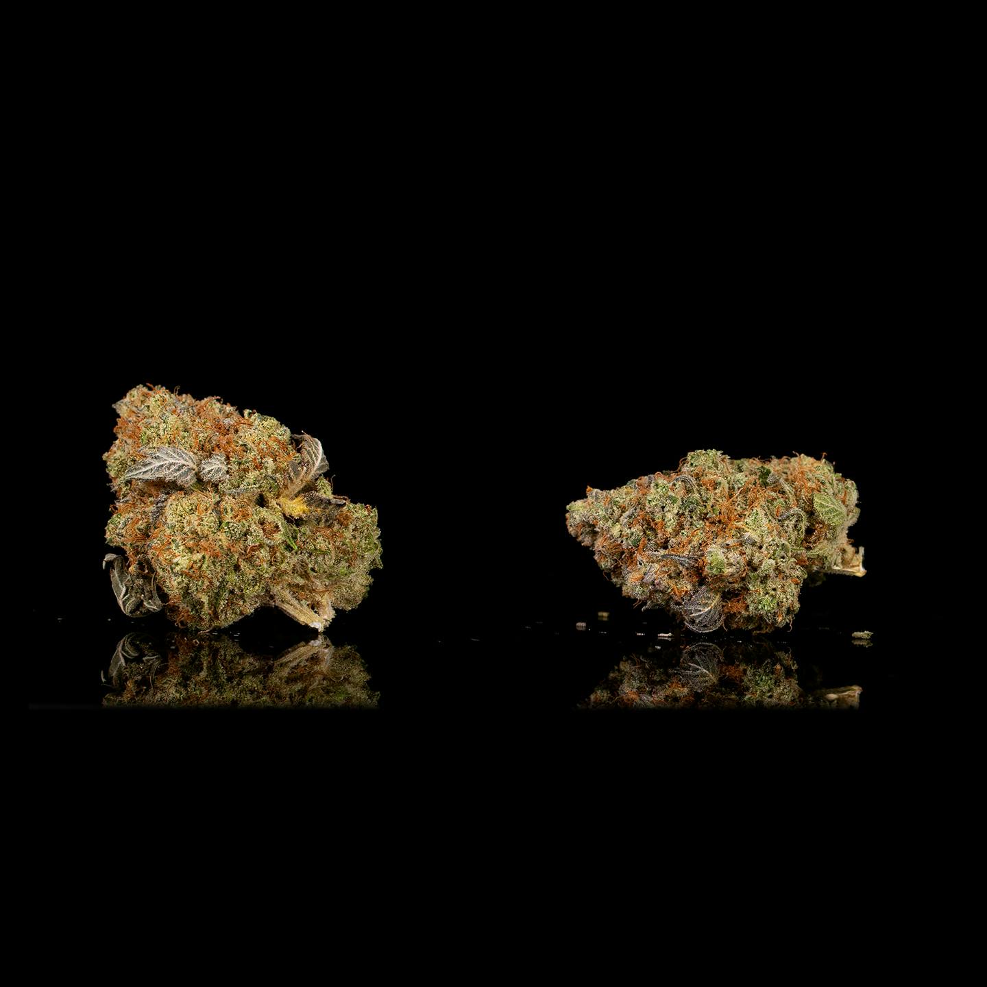 White Widow - 3.5g | All Flower | CommCan | CommCan Mansfield (Med