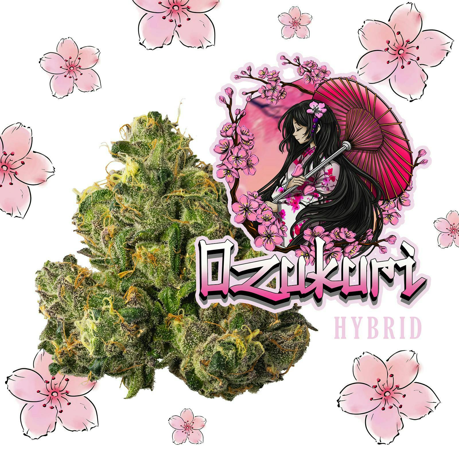 Ozukuri - 3.5g | All Flower | Lazy River Products | CommCan