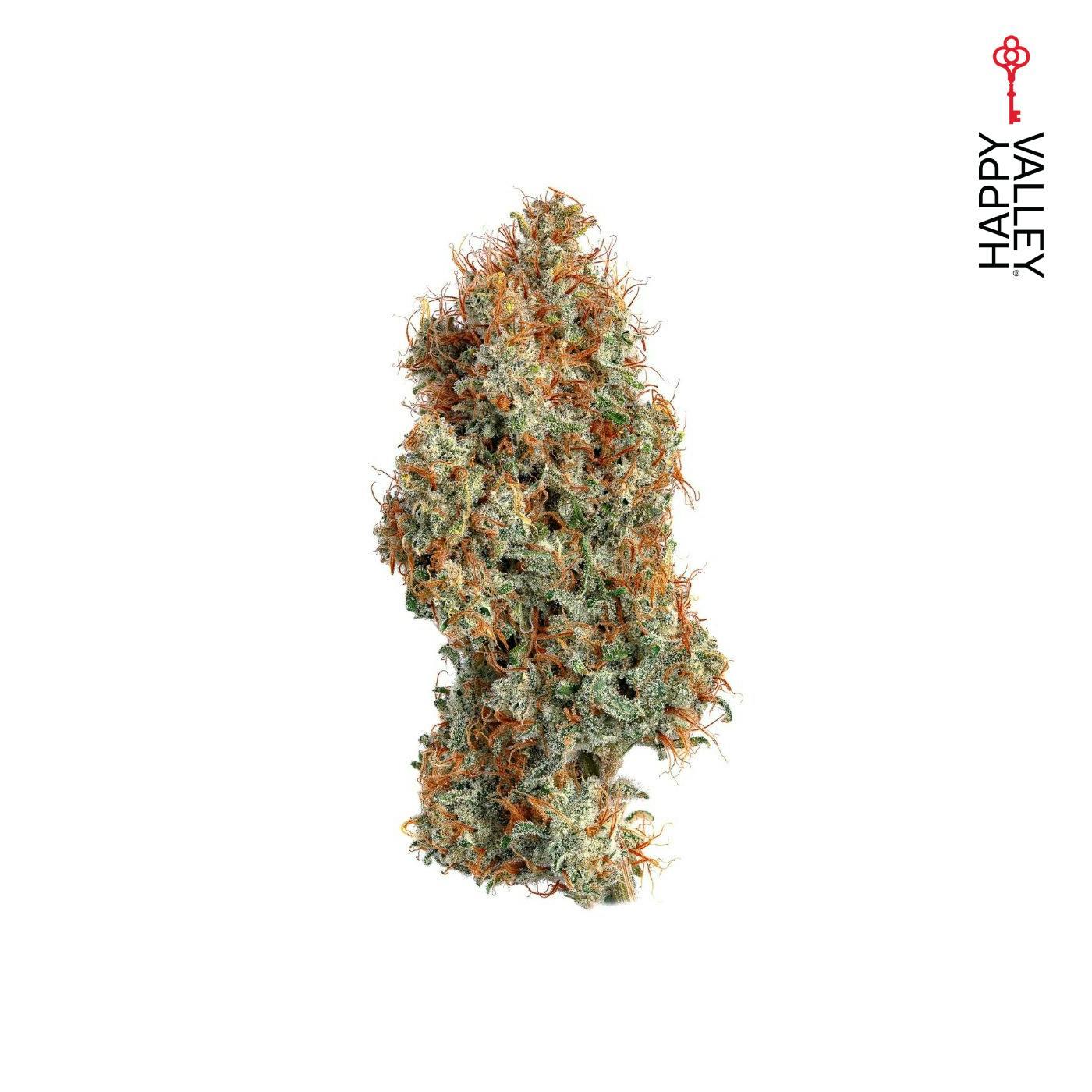 Super Lemon Haze - 3.5g | All Flower | HVV (Happy Valley