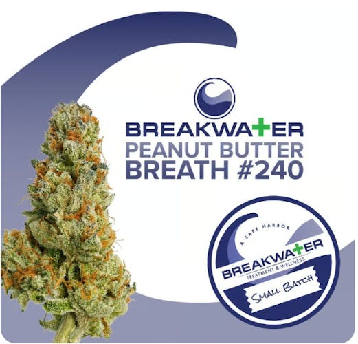 PEANUT BUTTER BREATH 240 3.5G 3.5g Flower BREAKWATER Ript