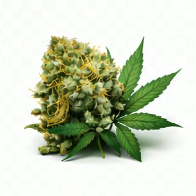 Flower icon