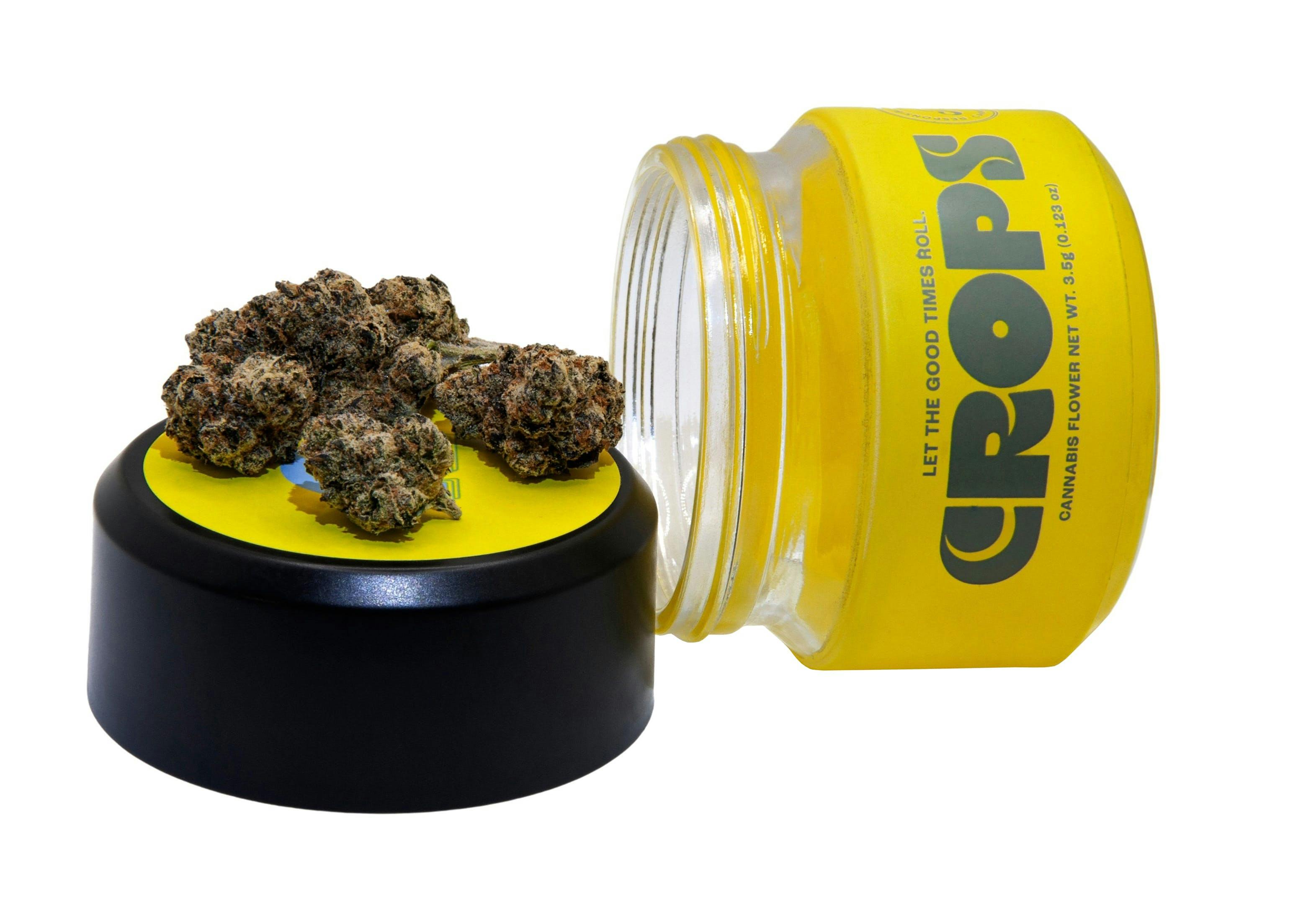 Shop medical Runtz 3.5g Flower by Justice Grown Fort Lee, NJ