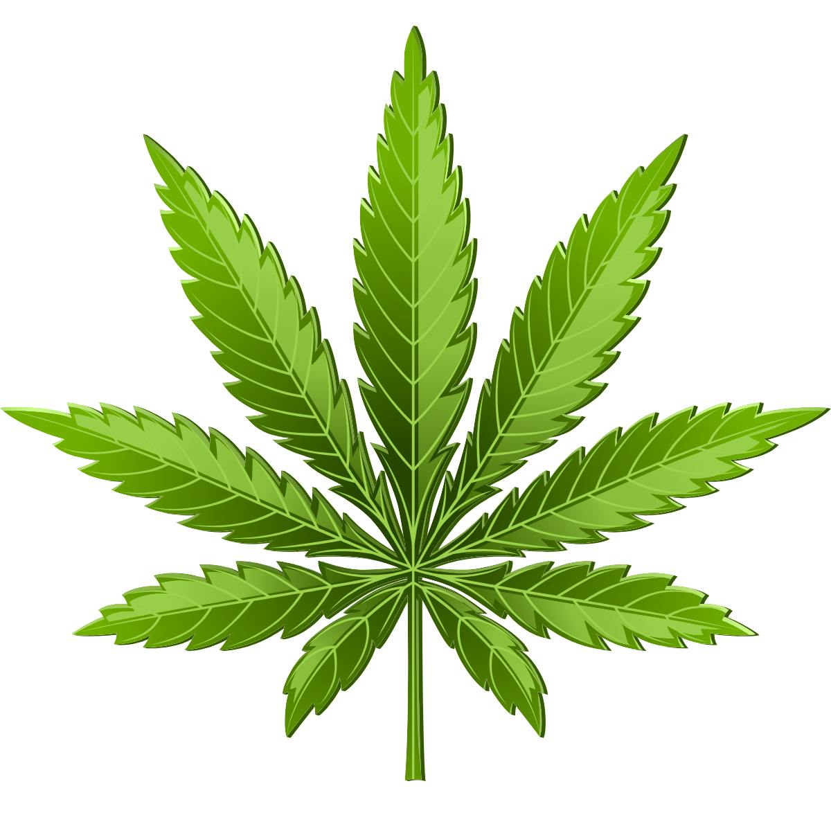 Flowers icon