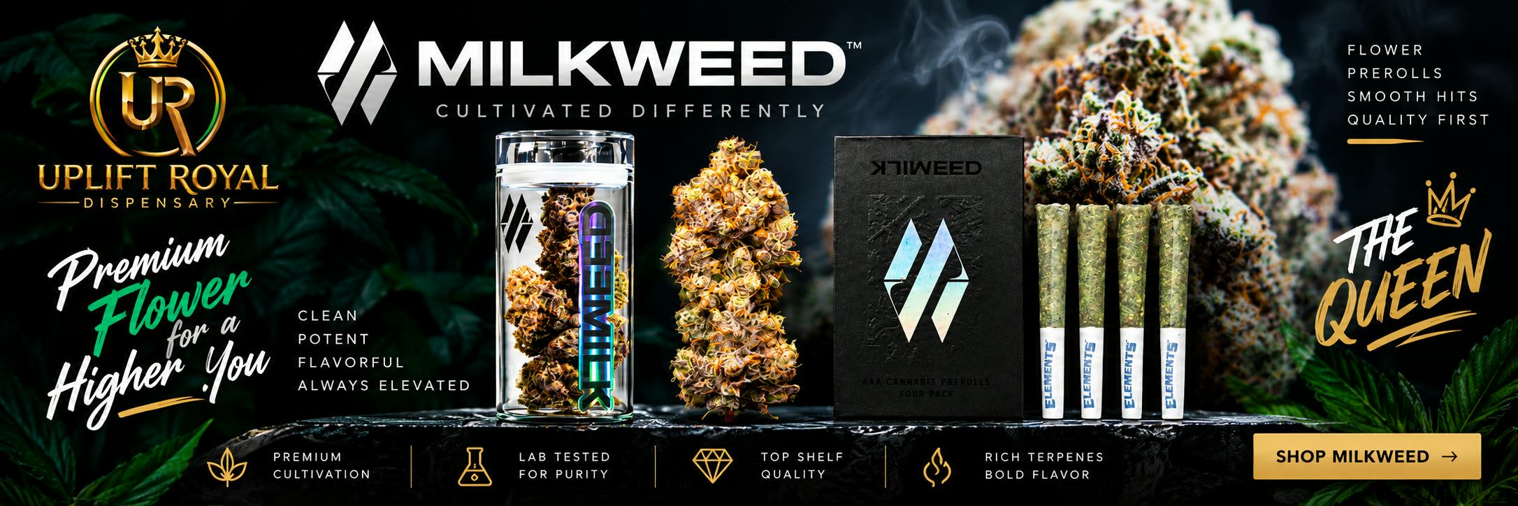 Milkweed